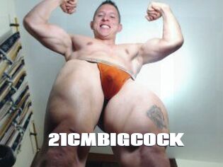 21CMBIGCOCK