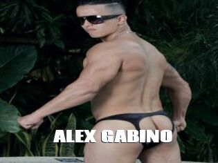 ALEX_GABINO