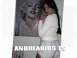 ANDREARIOS_TS