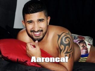 Aaroncat