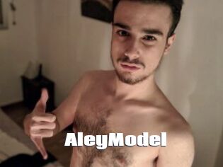 AleyModel