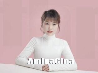 AminaGina