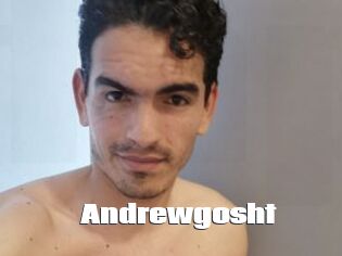 Andrewgosht