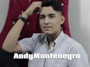 AndyMontenegro