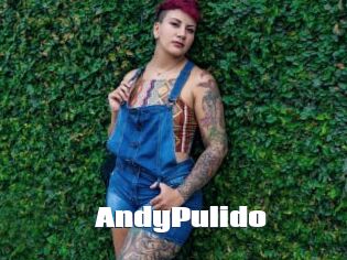 AndyPulido