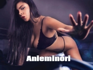 Anieminori