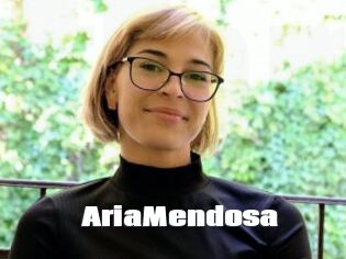 AriaMendosa