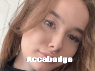 Accabodge