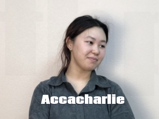 Accacharlie