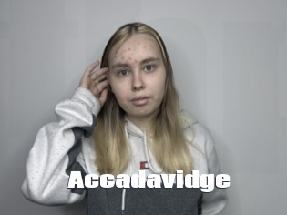 Accadavidge