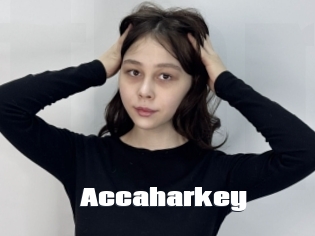 Accaharkey