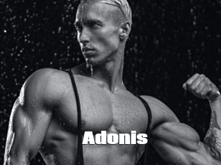 Adonis