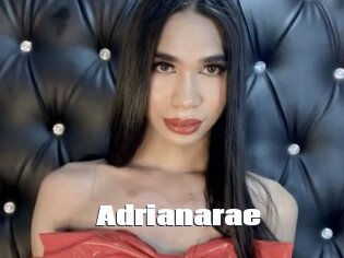 Adrianarae