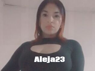 Aleja23