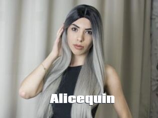 Alicequin