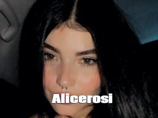 Alicerosi