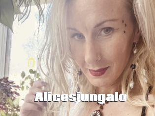 Alicesjungalo