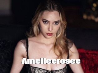 Amelieerosee