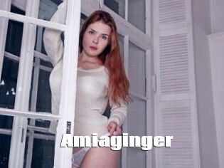 Amiaginger