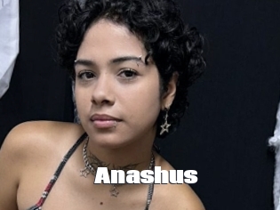 Anashus