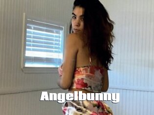 Angelbunny