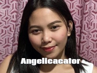 Angelicacator