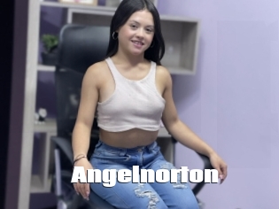 Angelnorton