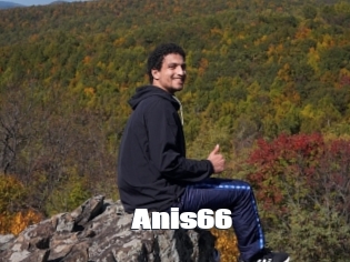 Anis66