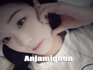 Anjamignon