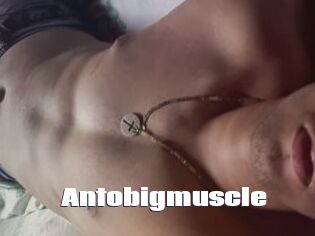 Antobigmuscle