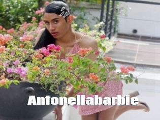 Antonellabarbie