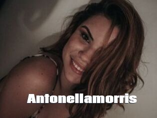 Antonellamorris