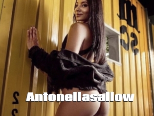 Antonellasallow