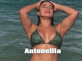 Antonellla