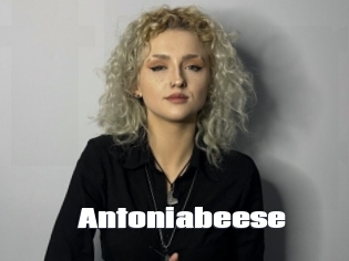 Antoniabeese