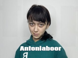 Antoniaboor