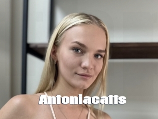 Antoniacatts