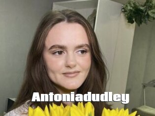 Antoniadudley