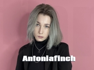 Antoniafinch