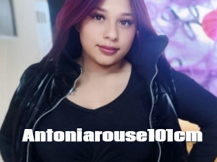 Antoniarouse101cm