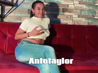 Antotaylor