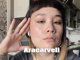 Aracarvell