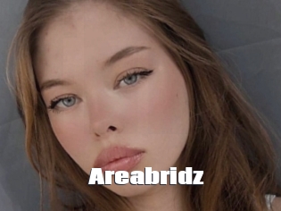 Areabridz