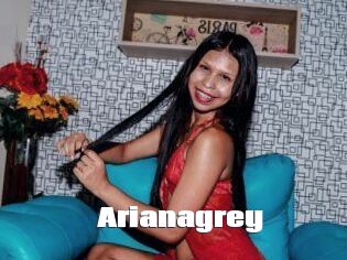 Arianagrey