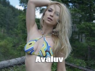 Avaluv