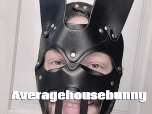 Averagehousebunny