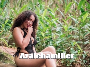 Azalehamiller