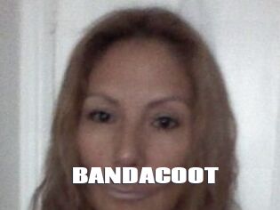 BANDACOOT