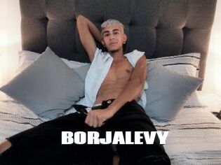 BORJALEVY