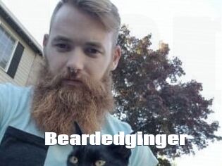 Beardedginger